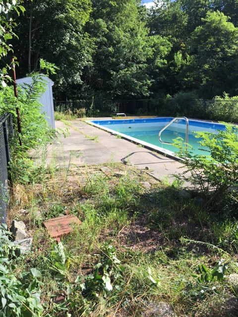 Pool & Patio Makeover image