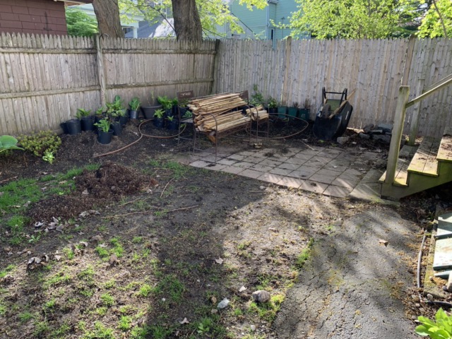 Roslindale Complete Yard Makeover image