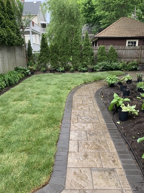 Roslindale Complete Yard Makeover image