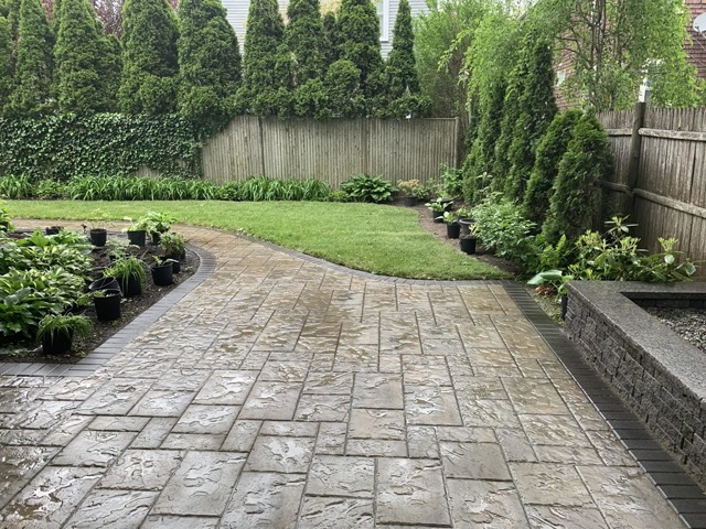 Roslindale Complete Yard Makeover image